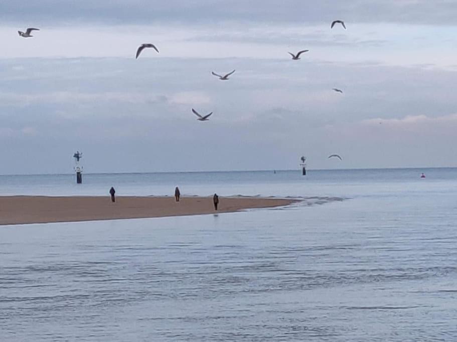 La Baleine - Hyper Centre, Charme Et Calme A Deux Pas De La Mer Cabourg Exterior foto
